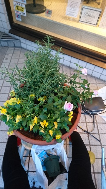 f:id:mariko0202:20181123215001j:image