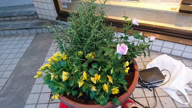 f:id:mariko0202:20181123215036j:image