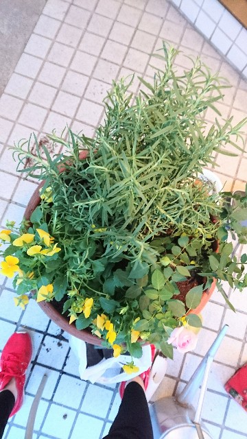 f:id:mariko0202:20181123215141j:image