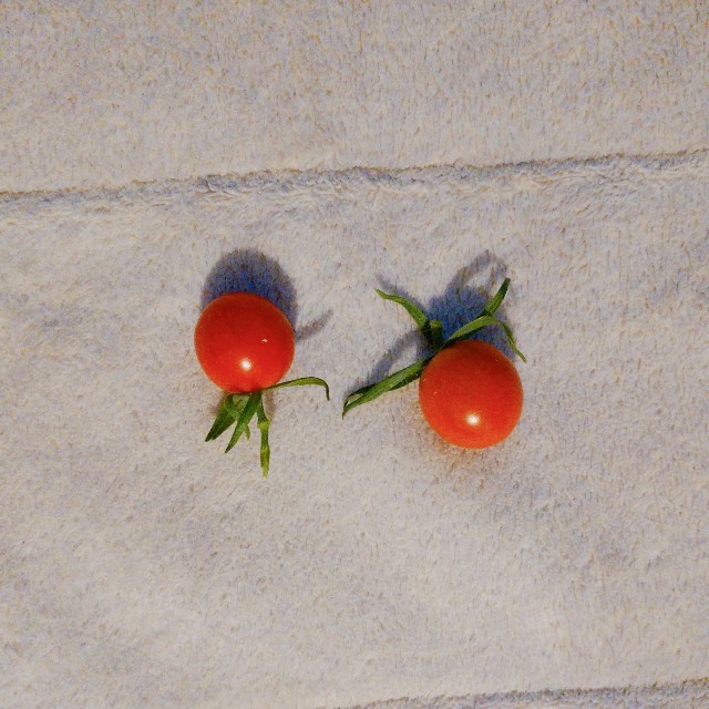 f:id:mariko0202:20230906023414j:image f:id:mariko0202:20230906023414j:image