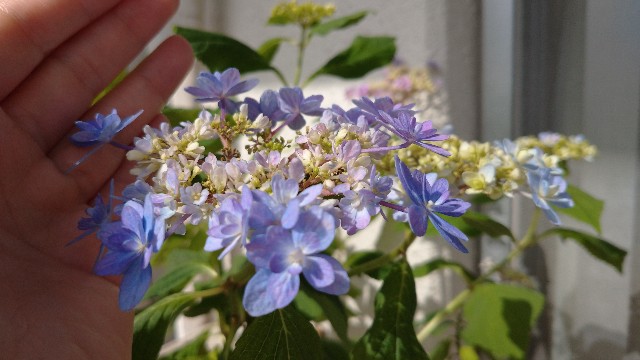 f:id:mariko0202:20240520164729j:image f:id:mariko0202:20240520164729j:image