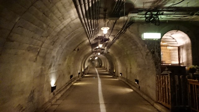 f:id:mariko50:20210113232217j:image