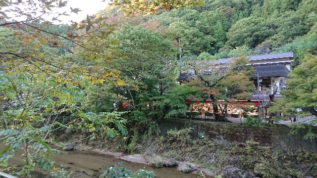 f:id:mariko50:20210113232305j:image