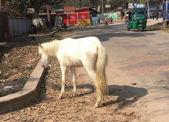 f:id:mariko_bangla2019:20200425221043j:plain f:id:mariko_bangla2019:20200425221043j:plain