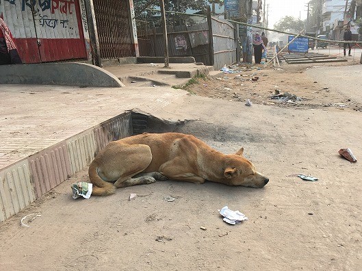 f:id:mariko_bangla2019:20200426205432j:plain f:id:mariko_bangla2019:20200426205432j:plain