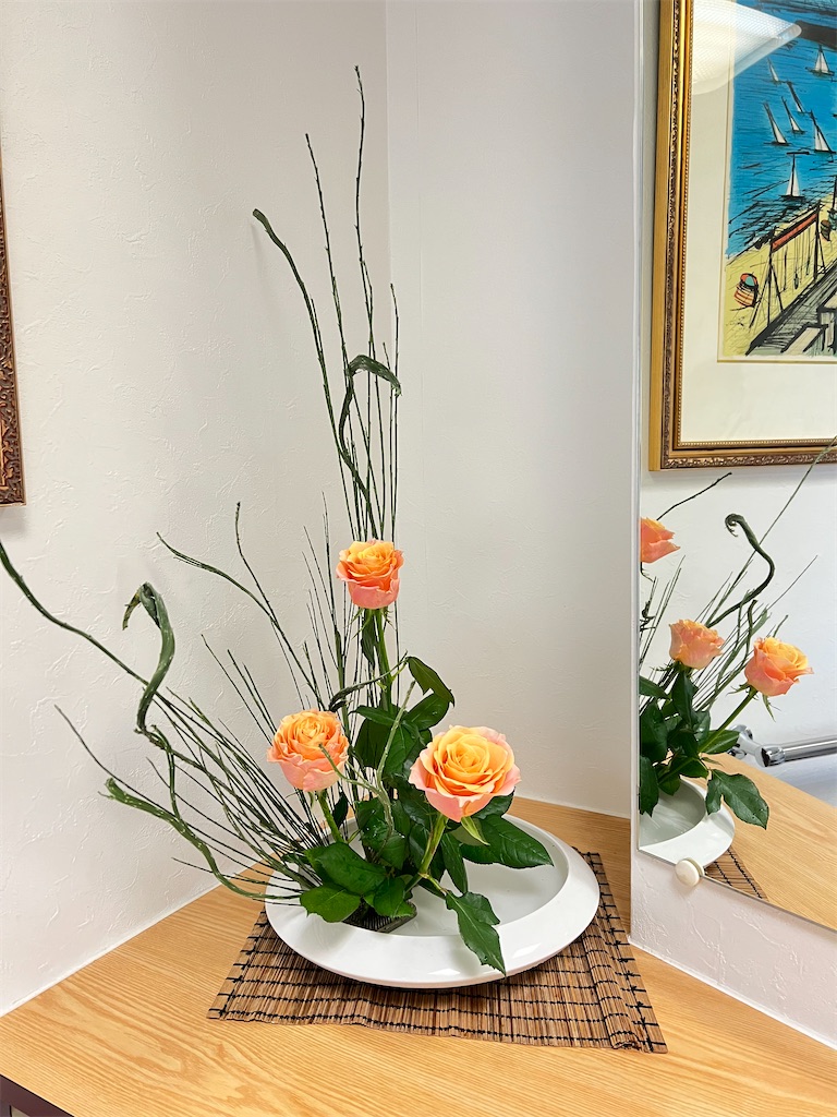 f:id:mariko_dentist:20251118200914j:image