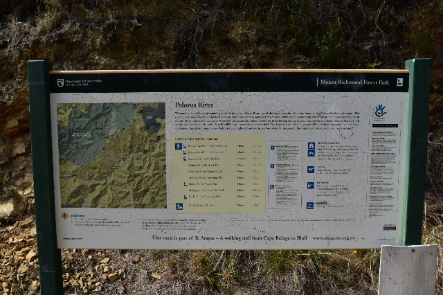 DAY#86 Pelorus campsite to Rocks hut (32) - 歩くまりこの日記