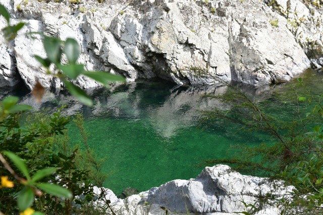 DAY#86 Pelorus campsite to Rocks hut (32) - 歩くまりこの日記