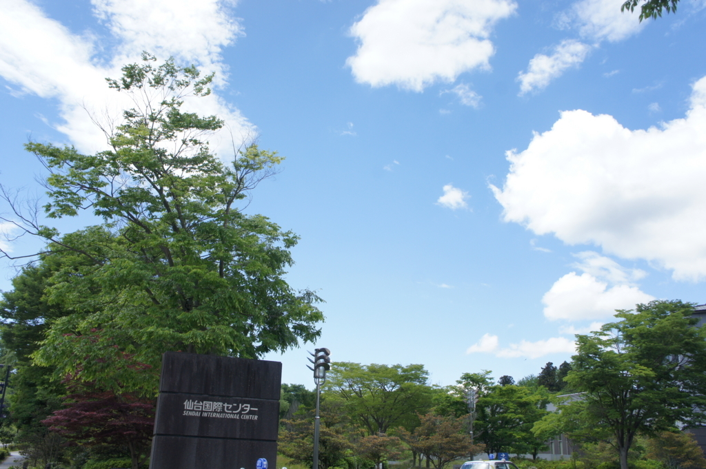 f:id:marikokobayashi:20180605163917j:plain f:id:marikokobayashi:20180605163917j:plain