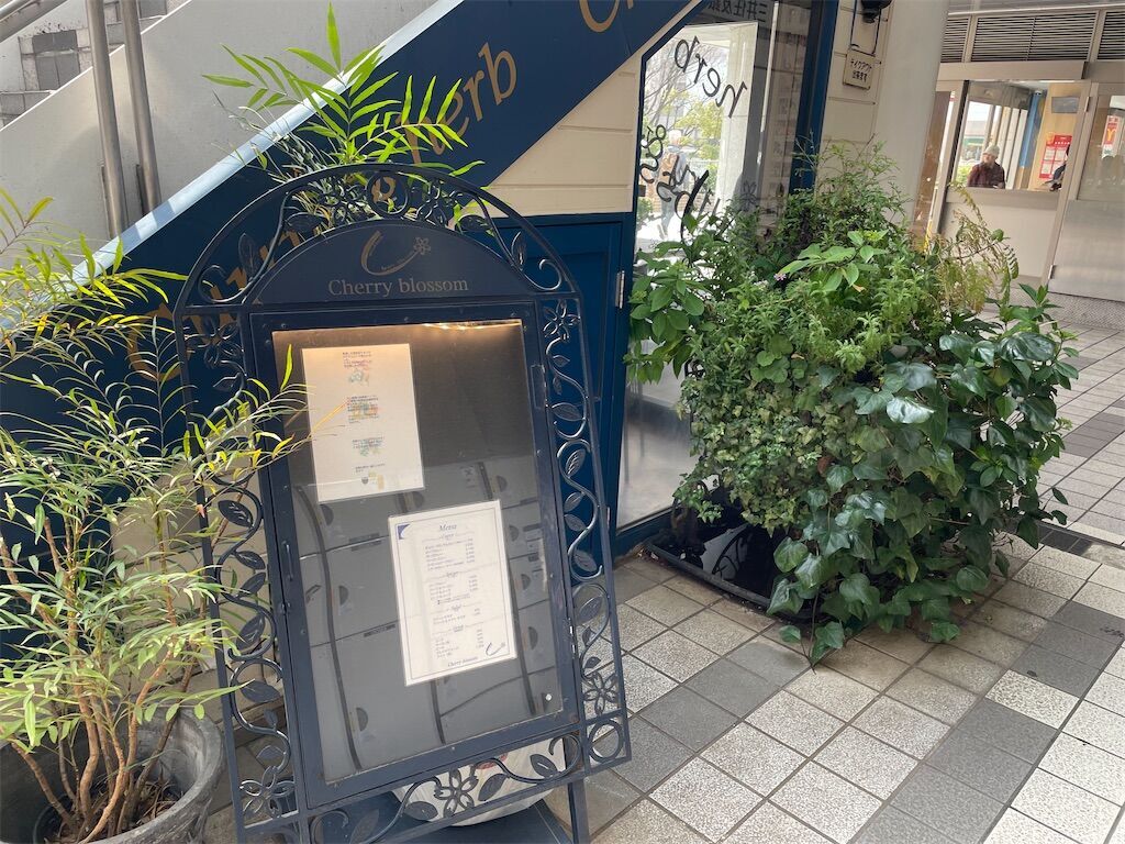 f:id:marikonbu:20250325144716j:image f:id:marikonbu:20250325144716j:image