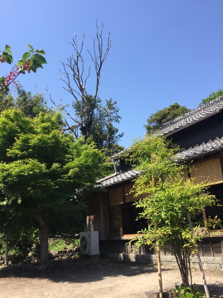 f:id:marikooo:20180506174604j:plain f:id:marikooo:20180506174604j:plain