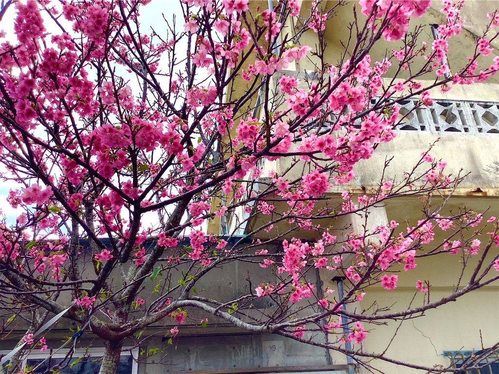 f:id:marimakun:20210209235825j:image f:id:marimakun:20210209235825j:image