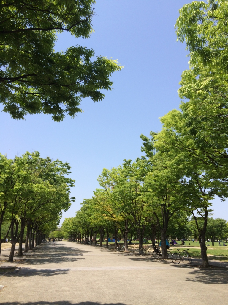 f:id:marimarimaria:20170507182307j:plain