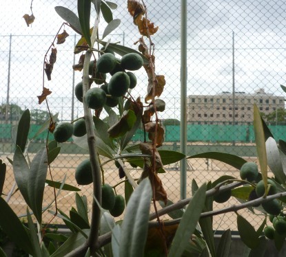f:id:marimatsuno:20110819120659j:image