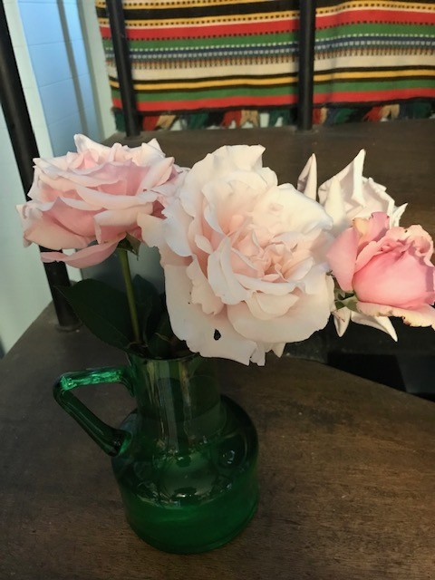 f:id:marimatsuno:20190520085836j:plain f:id:marimatsuno:20190520085836j:plain