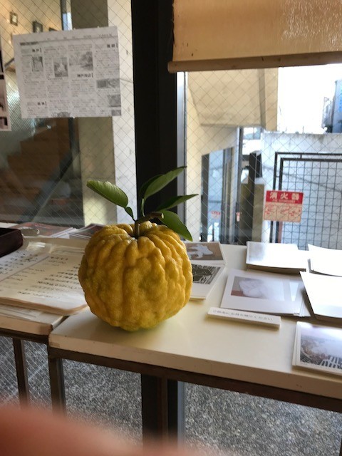 f:id:marimatsuno:20191121153038j:plain