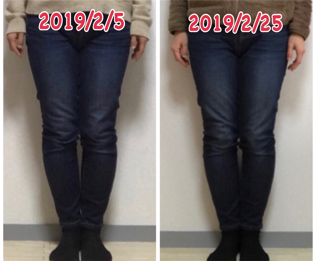 f:id:mariminihabit:20190225131425j:plain f:id:mariminihabit:20190225131425j:plain