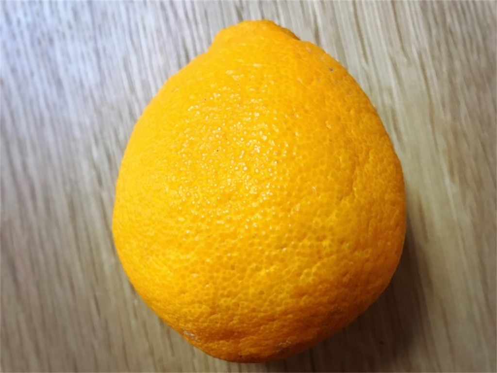 f:id:mariminihabit:20190416124143j:plain f:id:mariminihabit:20190416124143j:plain