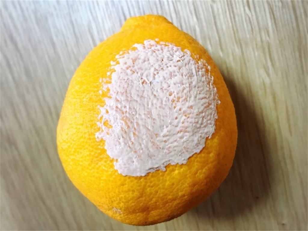 f:id:mariminihabit:20190416124149j:plain f:id:mariminihabit:20190416124149j:plain