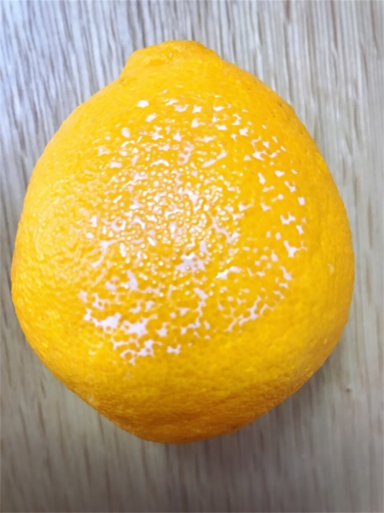 f:id:mariminihabit:20190416124223j:plain f:id:mariminihabit:20190416124223j:plain