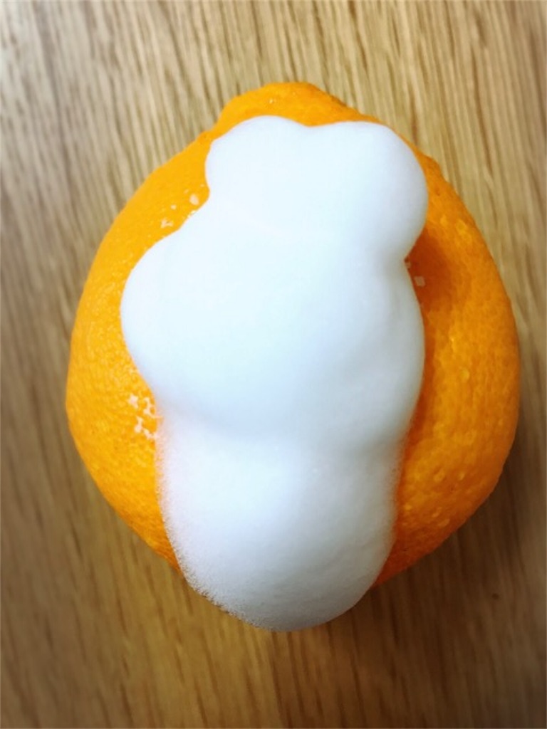 f:id:mariminihabit:20190416124231j:plain f:id:mariminihabit:20190416124231j:plain