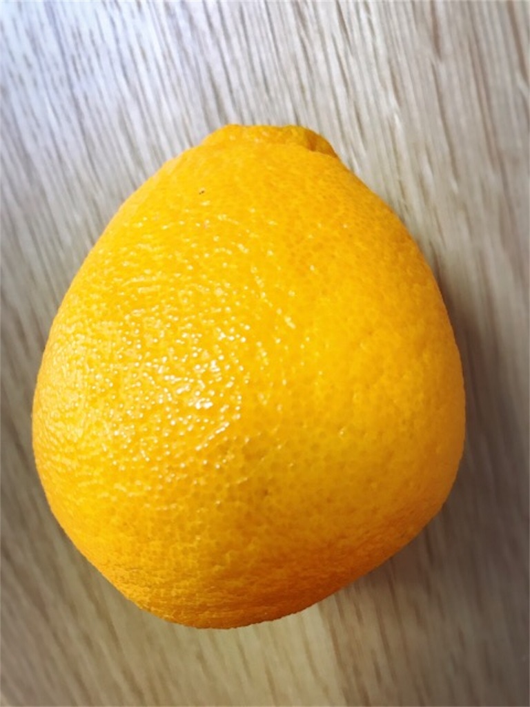 f:id:mariminihabit:20190416124238j:plain f:id:mariminihabit:20190416124238j:plain