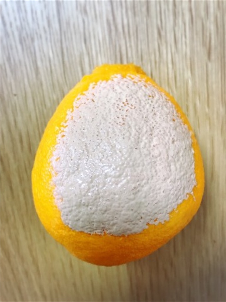 f:id:mariminihabit:20190416152120j:plain f:id:mariminihabit:20190416152120j:plain