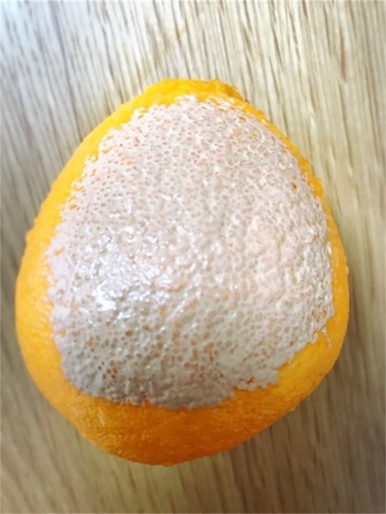 f:id:mariminihabit:20190416152257j:plain f:id:mariminihabit:20190416152257j:plain