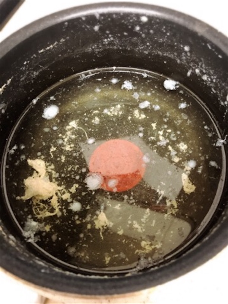 f:id:mariminihabit:20190424144935j:plain f:id:mariminihabit:20190424144935j:plain