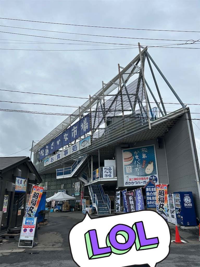 f:id:marimo_note:20250519032508j:image