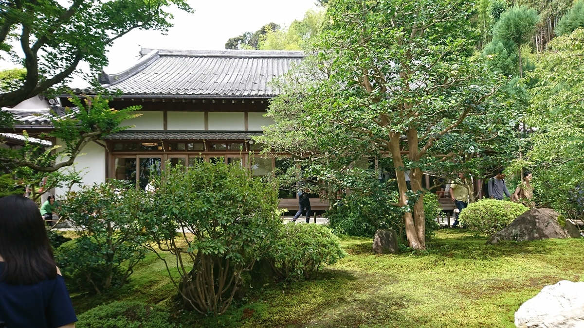 f:id:marimoconnect:20190721161321j:plain f:id:marimoconnect:20190721161321j:plain