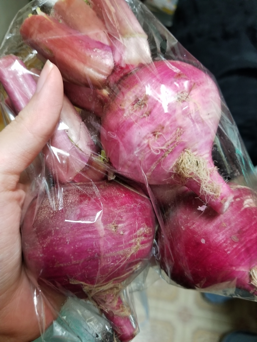 f:id:marimouper:20191026184800j:plain