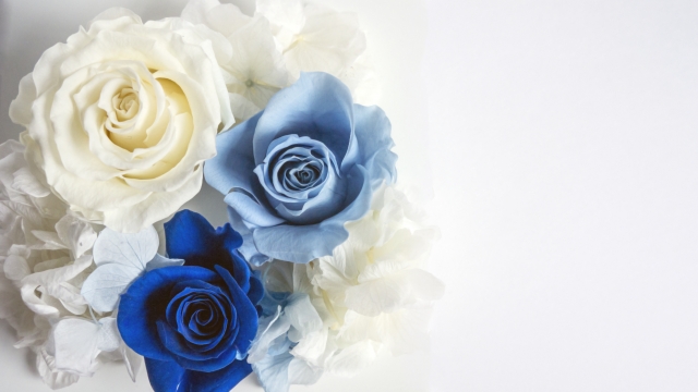 f:id:marimouper:20200331234516j:plain