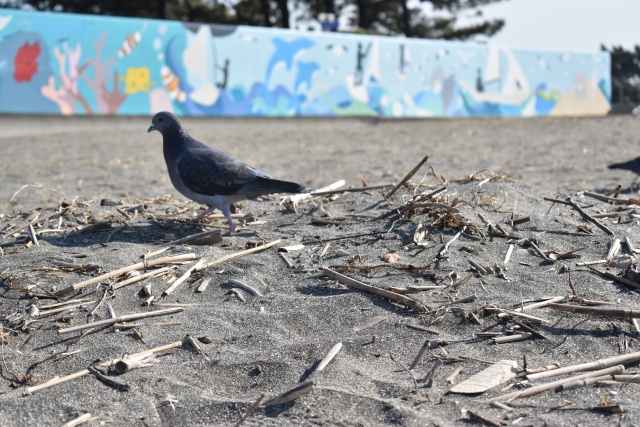 f:id:marimouper:20200413154330j:plain