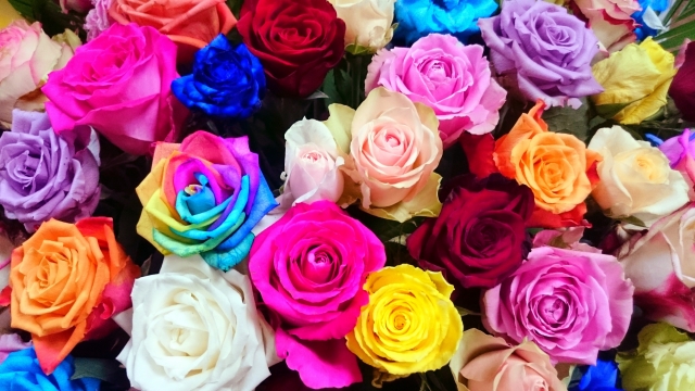 f:id:marimouper:20200414141301j:plain