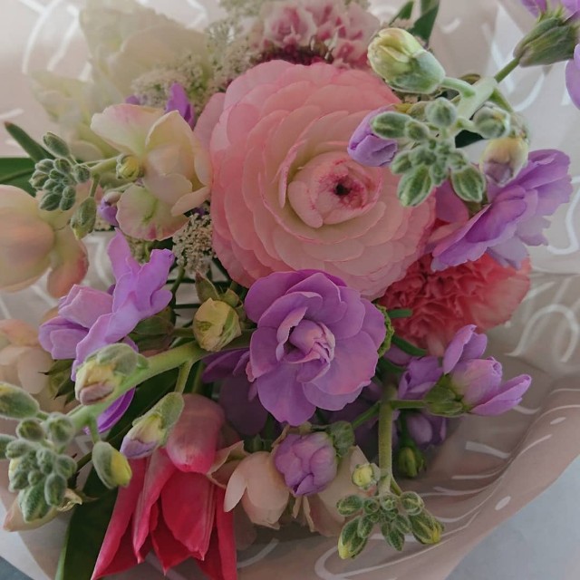 f:id:marin_day:20190129191820j:image f:id:marin_day:20190129191820j:image