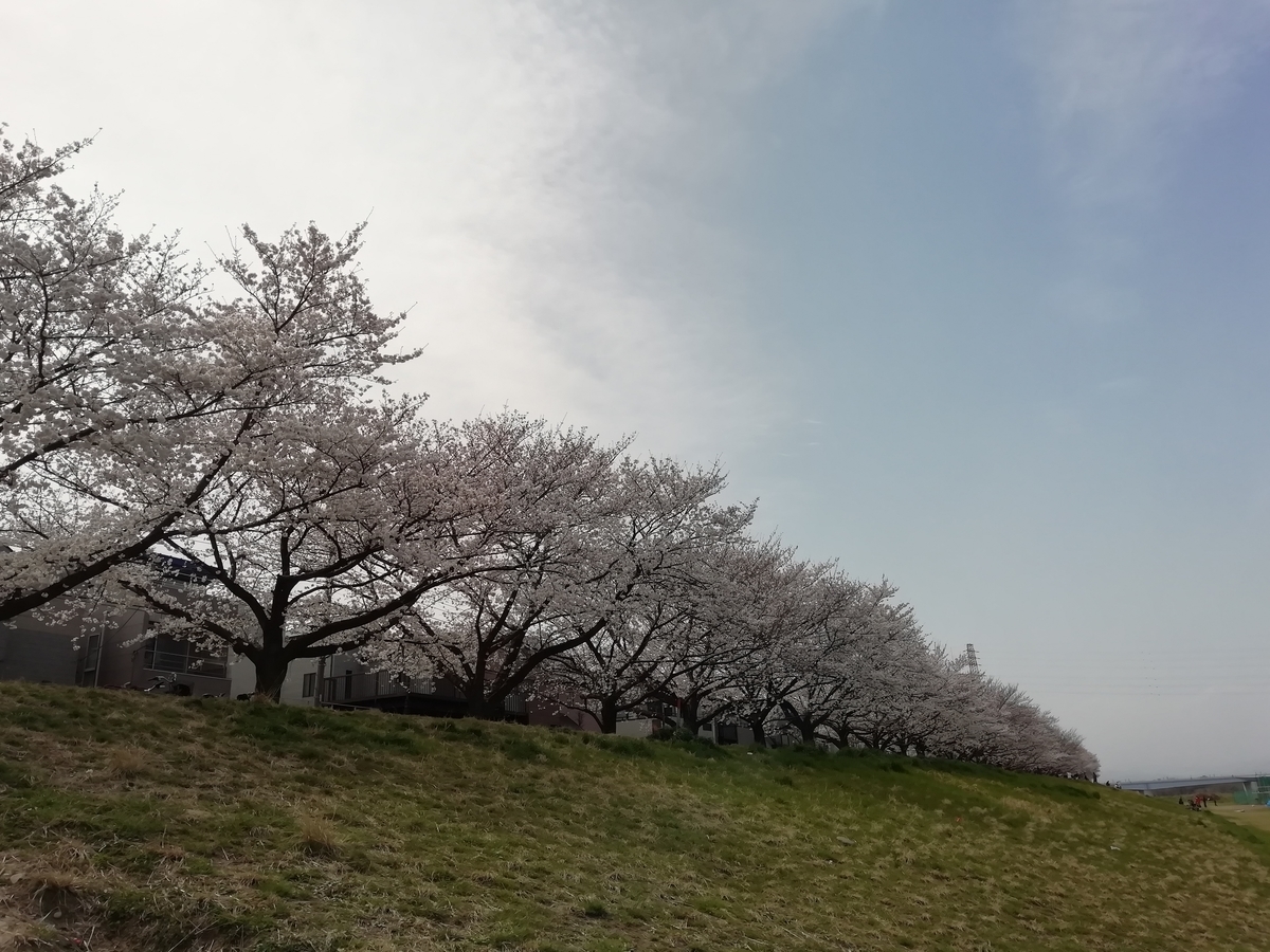 f:id:marin_dolfin:20200322152608j:plain