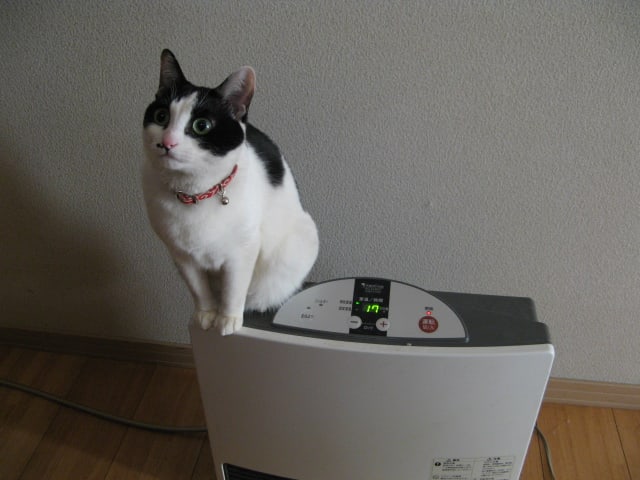 イメージ 3