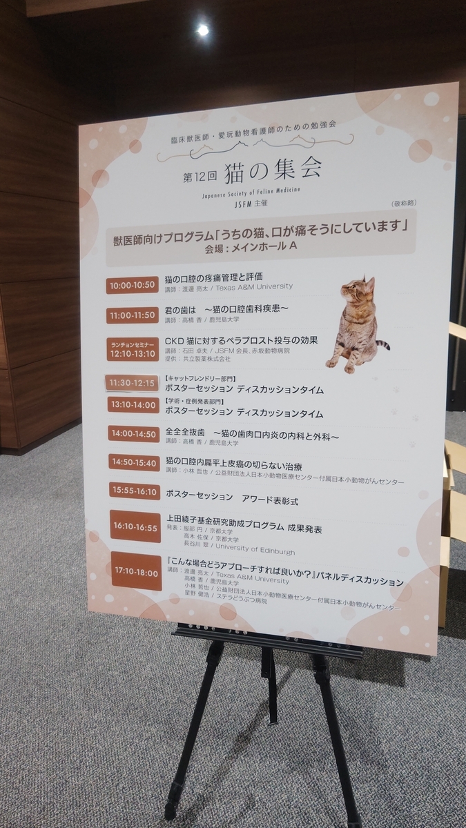 猫の集会行ってきました！ - マリナママのごきげんライフ