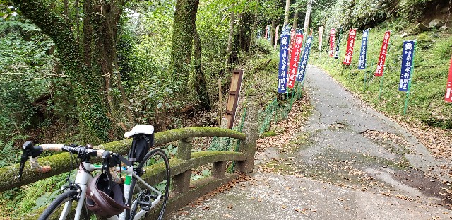 f:id:marina-t-n:20191008214454j:image