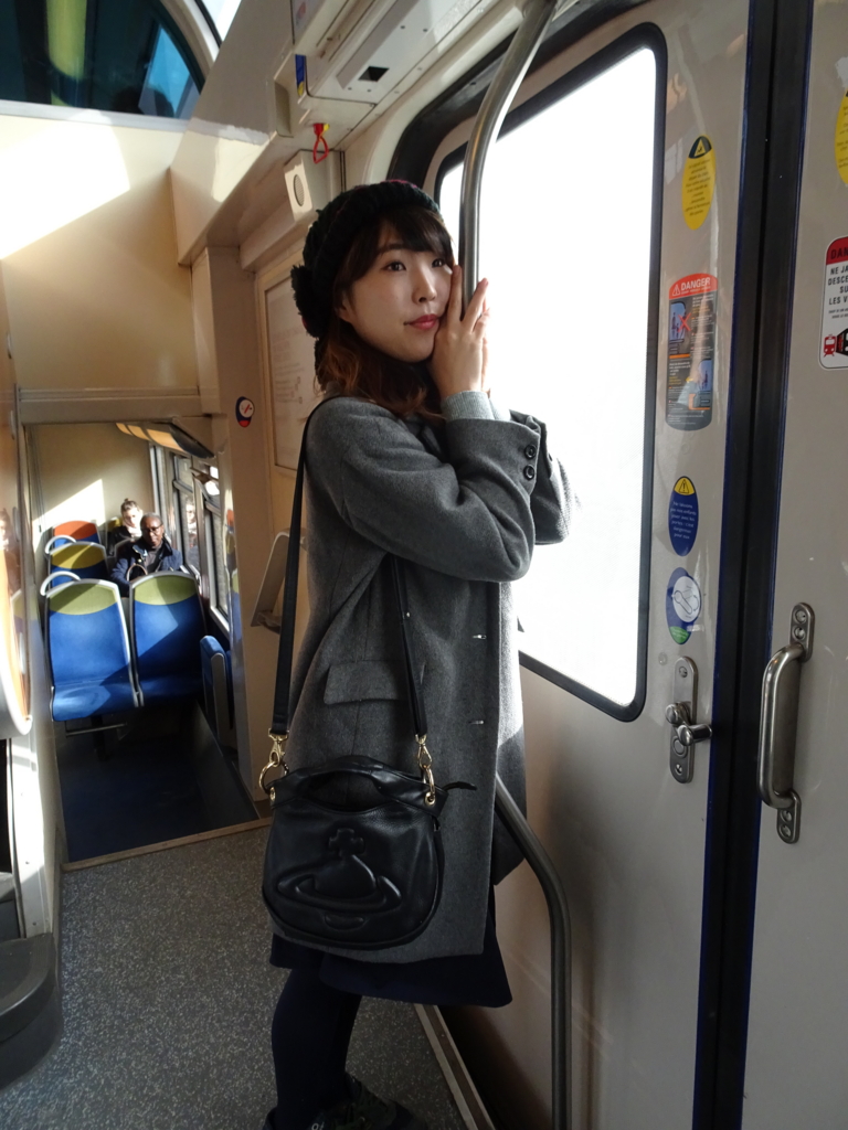 f:id:marina10feb93:20161201145212j:plain