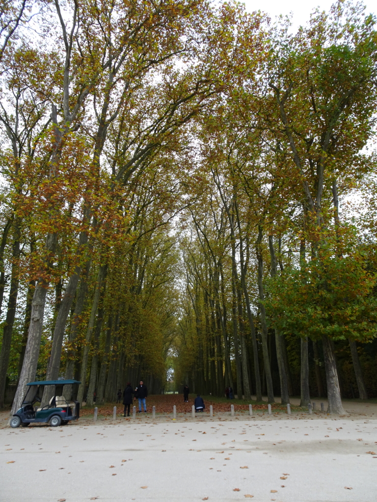 f:id:marina10feb93:20161201150113j:plain