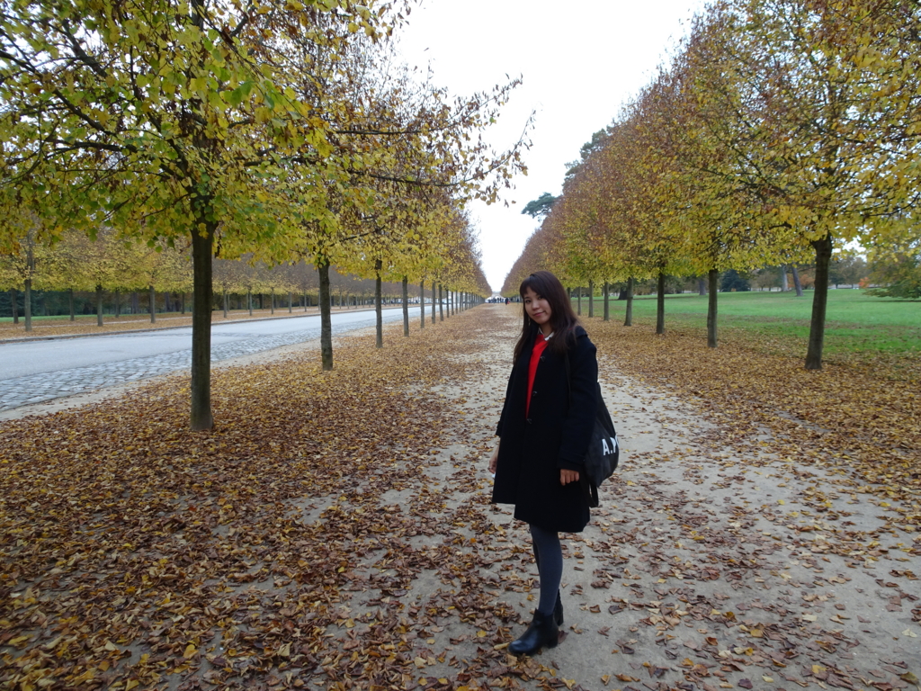 f:id:marina10feb93:20161201150456j:plain