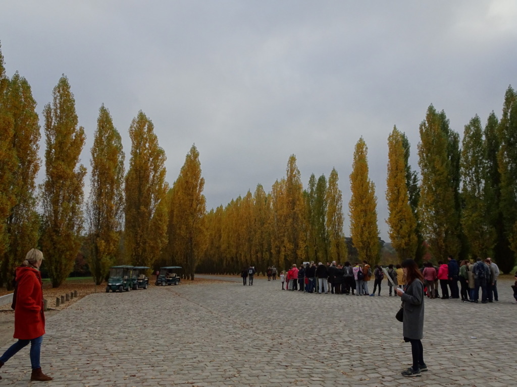 f:id:marina10feb93:20161201150822j:plain