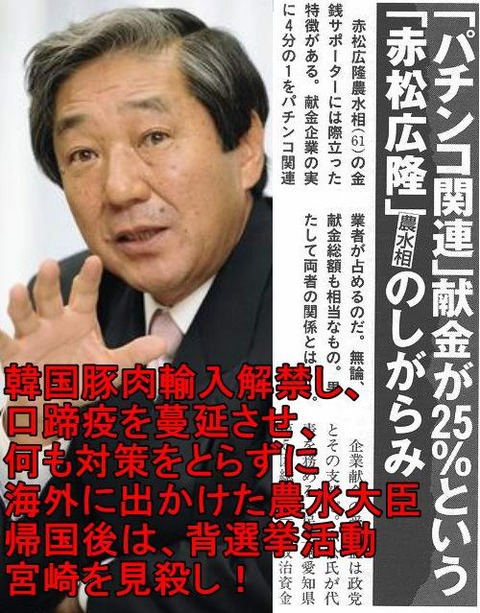 イメージ 22