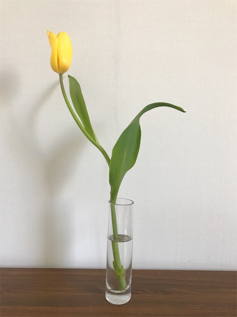 f:id:marinblog:20180403110159j:image