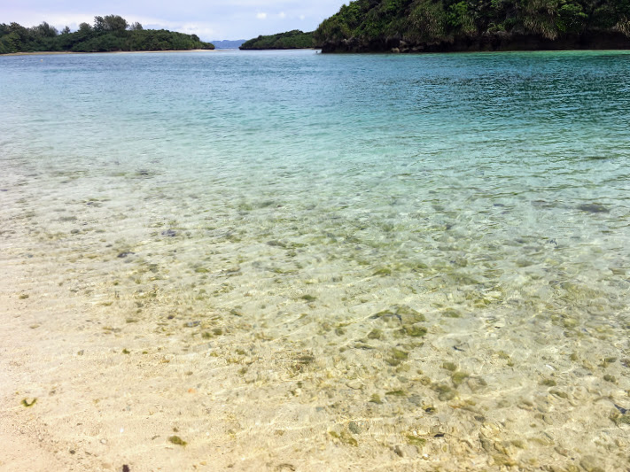 f:id:marine-trail:20220220180647j:plain