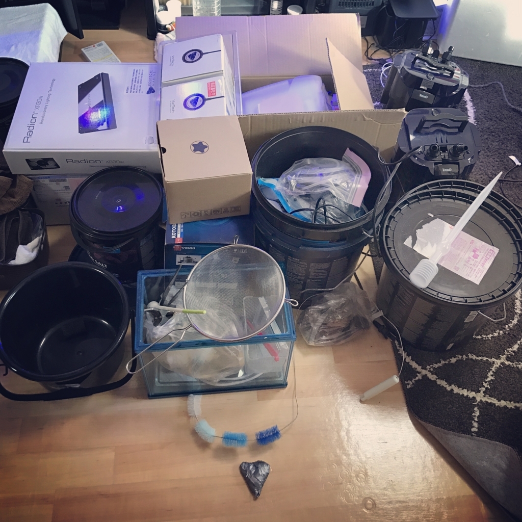 f:id:marine_aqua:20170114145841j:plain