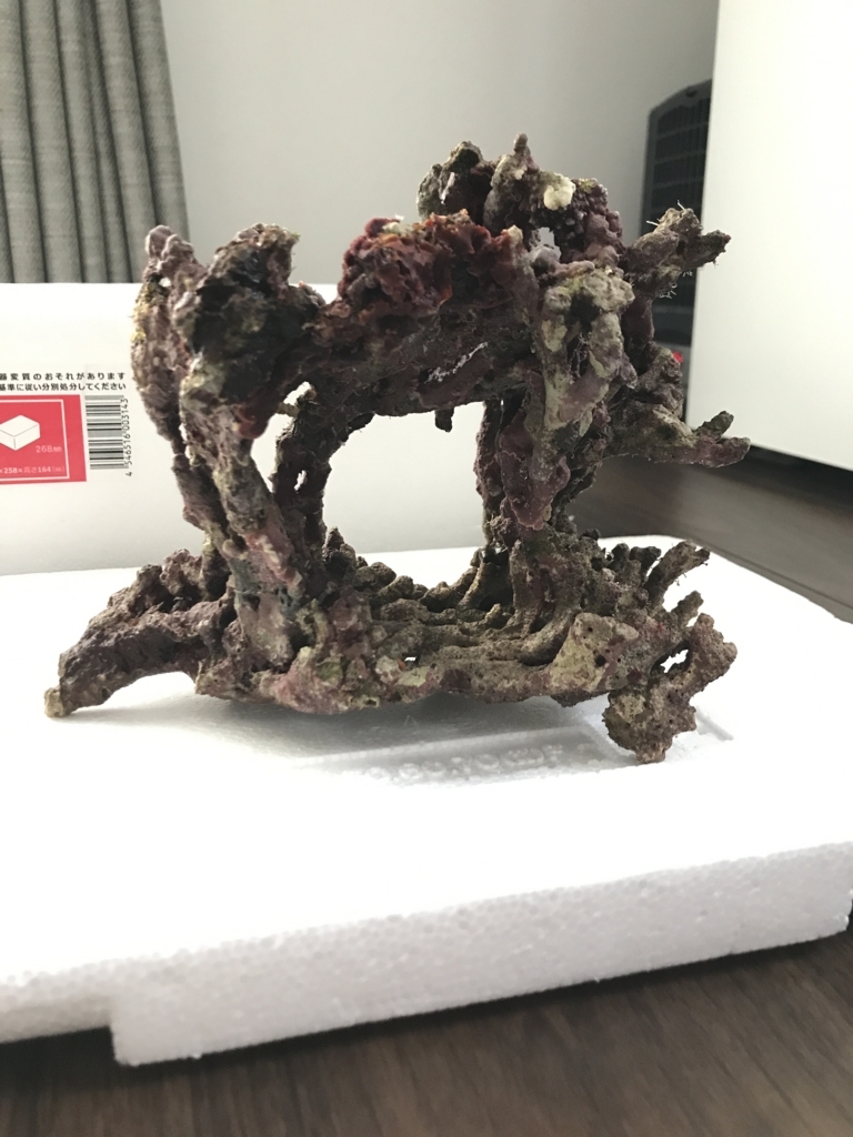 f:id:marine_aqua:20170603120204j:plain