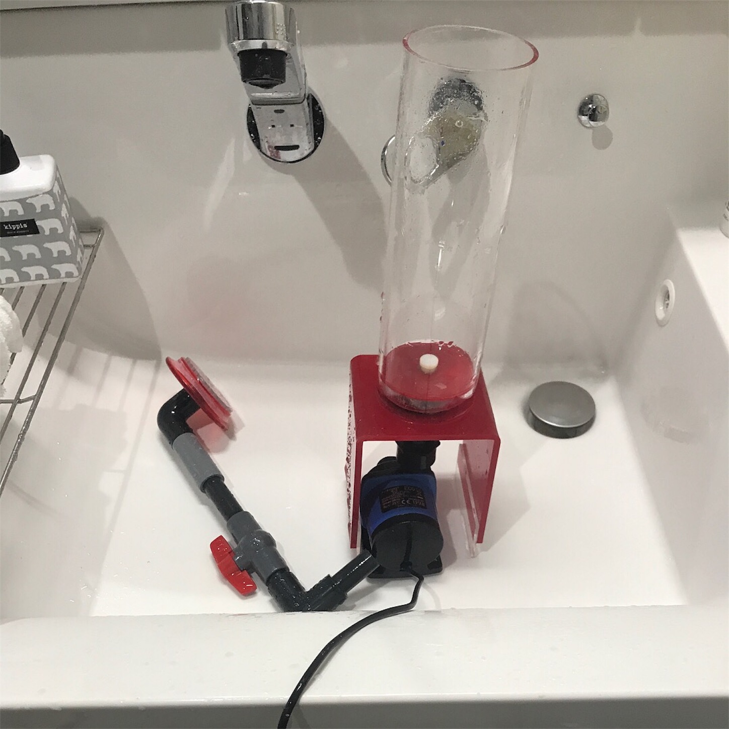 f:id:marine_aqua:20180213202234j:image f:id:marine_aqua:20180213202234j:image